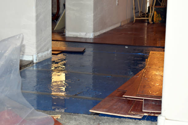 Professional Basement Flooding technician working in Poy Sippi, WI